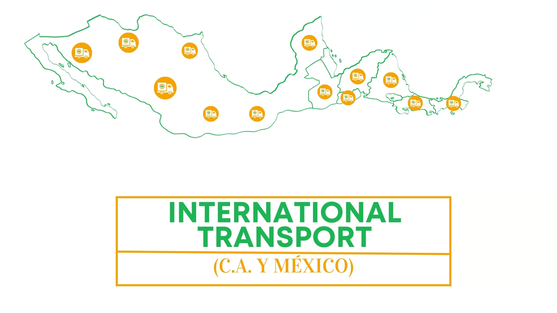 Transporte Internacional